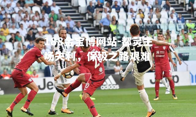 都灵主场失利，保级之路艰难