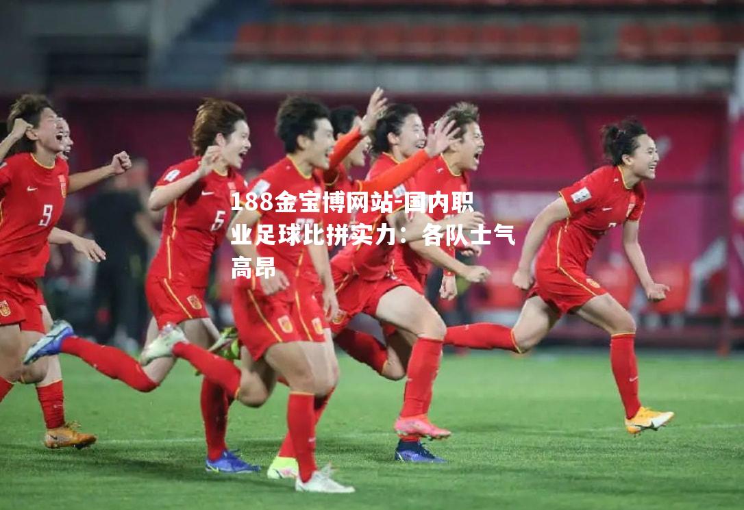 国内职业足球比拼实力：各队士气高昂