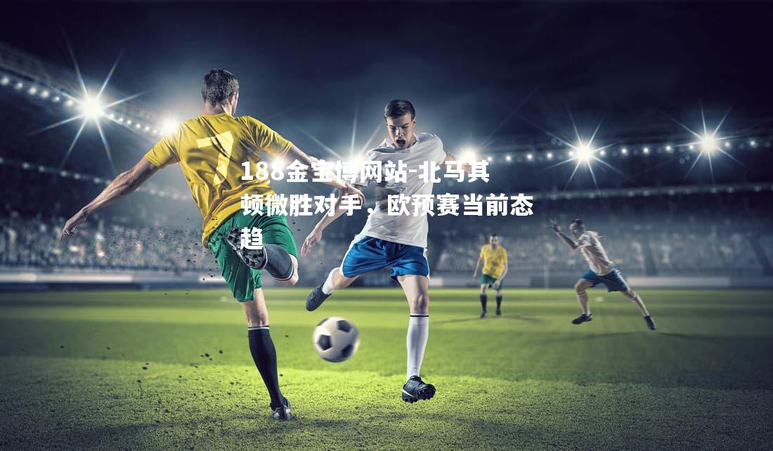 北马其顿微胜对手，欧预赛当前态趋