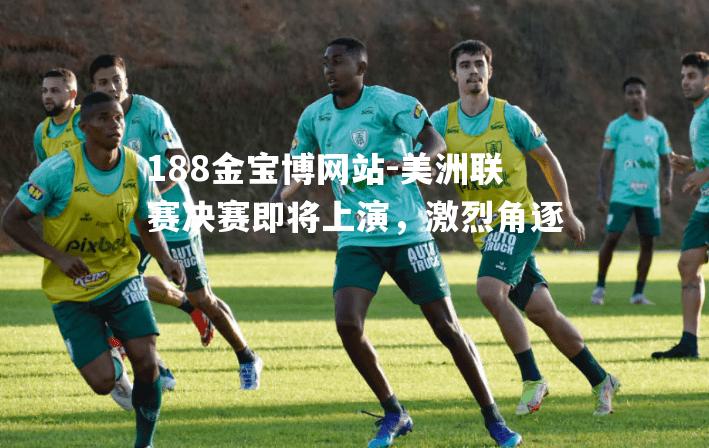 美洲联赛决赛即将上演，激烈角逐