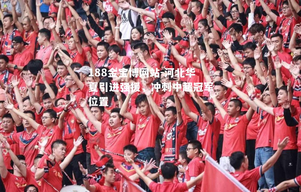 河北华夏引进强援，冲刺中超冠军位置
